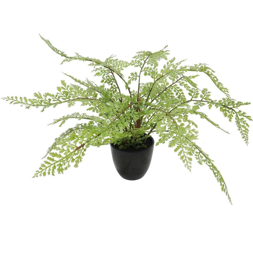 Faux Small Potted Fern 35cm V637-DP1890011