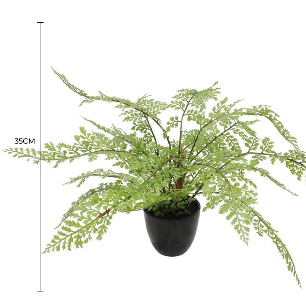 Faux Small Potted Fern 35cm V637-DP1890011