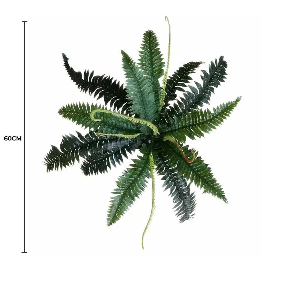 Artificial Dark Green Boston Fern 60cm V637-DP1890013