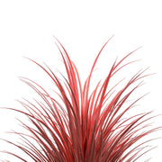Burgundy Potted Artificial Long Grass (Yucca Grass) 115cm UV Resistant V637-DP189662