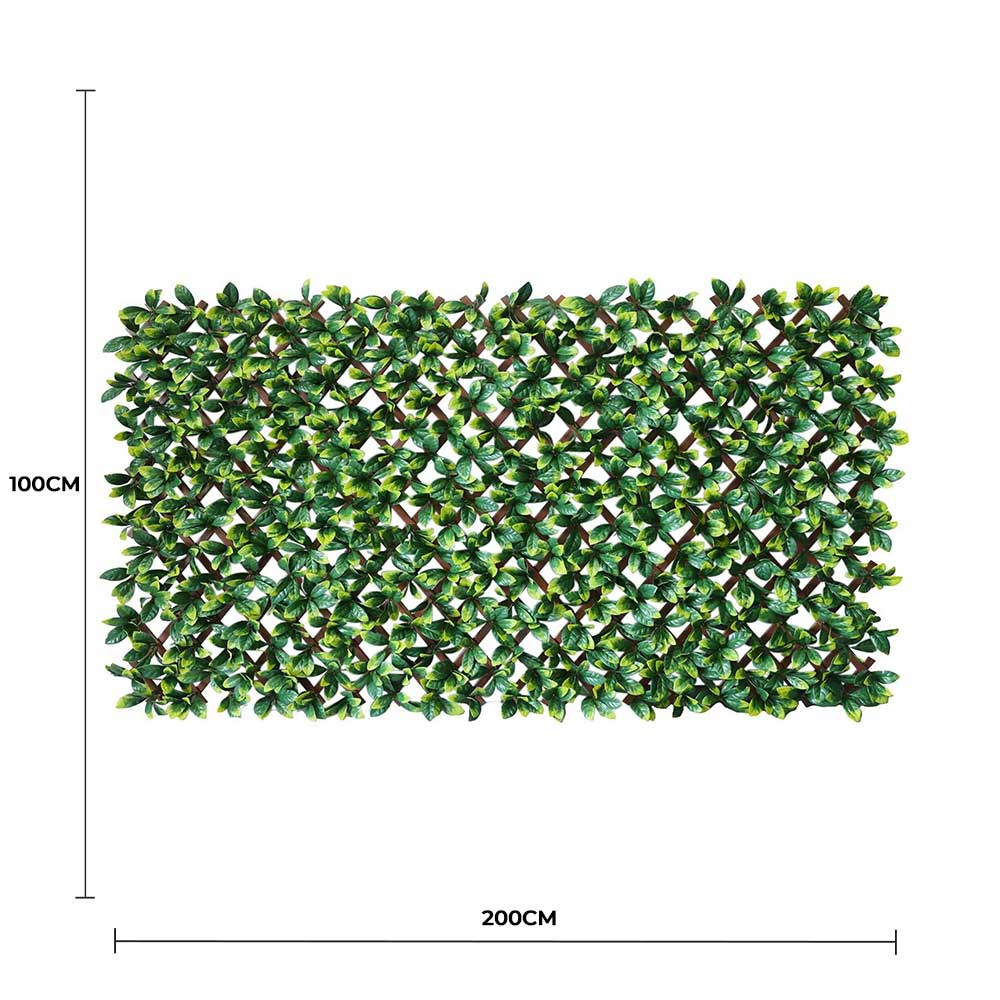 Premium Laurel Leaf Artificial Hedge Extendable Trellis / Screen 2 Meter By 1 Meter UV Resistant (PVC) V637-DP20786514