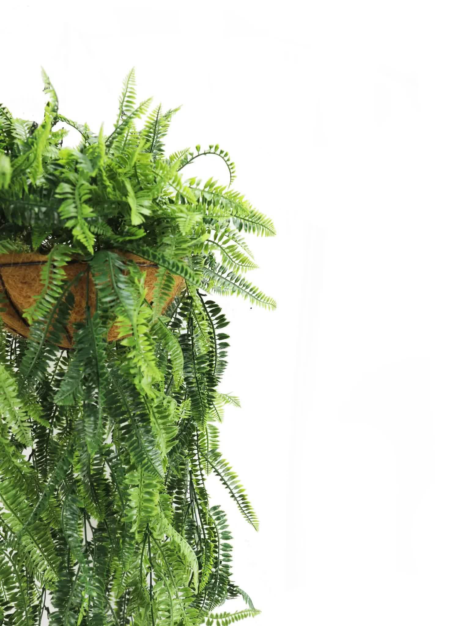 Artificial Hanging Fern Basket UV Resistant 45cm x 125cm V637-DP27938
