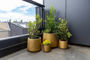 Elegant Gold Planters / Gold Pots Set of 4 V637-DP288979