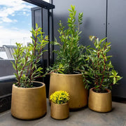 Elegant Gold Planters / Gold Pots Set of 4 V637-DP288979