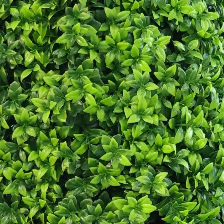 Premium Artificial 120cm Bright Buxus Tree UV Resistant V637-DP29653