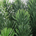 Premium Artificial 150cm Cypress Pine Tree UV Resistant V637-DP29654