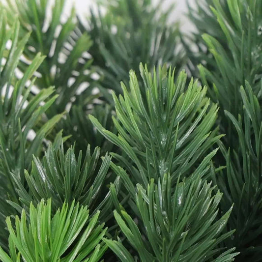 Premium Artificial 150cm Cypress Pine Tree UV Resistant V637-DP29654