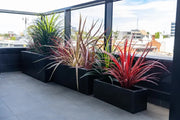 Luxury Black Terrazzo Concrete Planter Set of 3 V637-DP297625