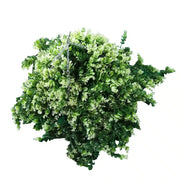 Artificial Spring Evergreen Hanging Basket UV Resistant 43cm V637-DP3210603