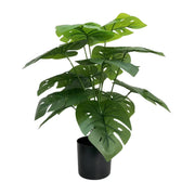 Artificial Potted Split Philodendron (Monstera) 50cm V637-DP321859