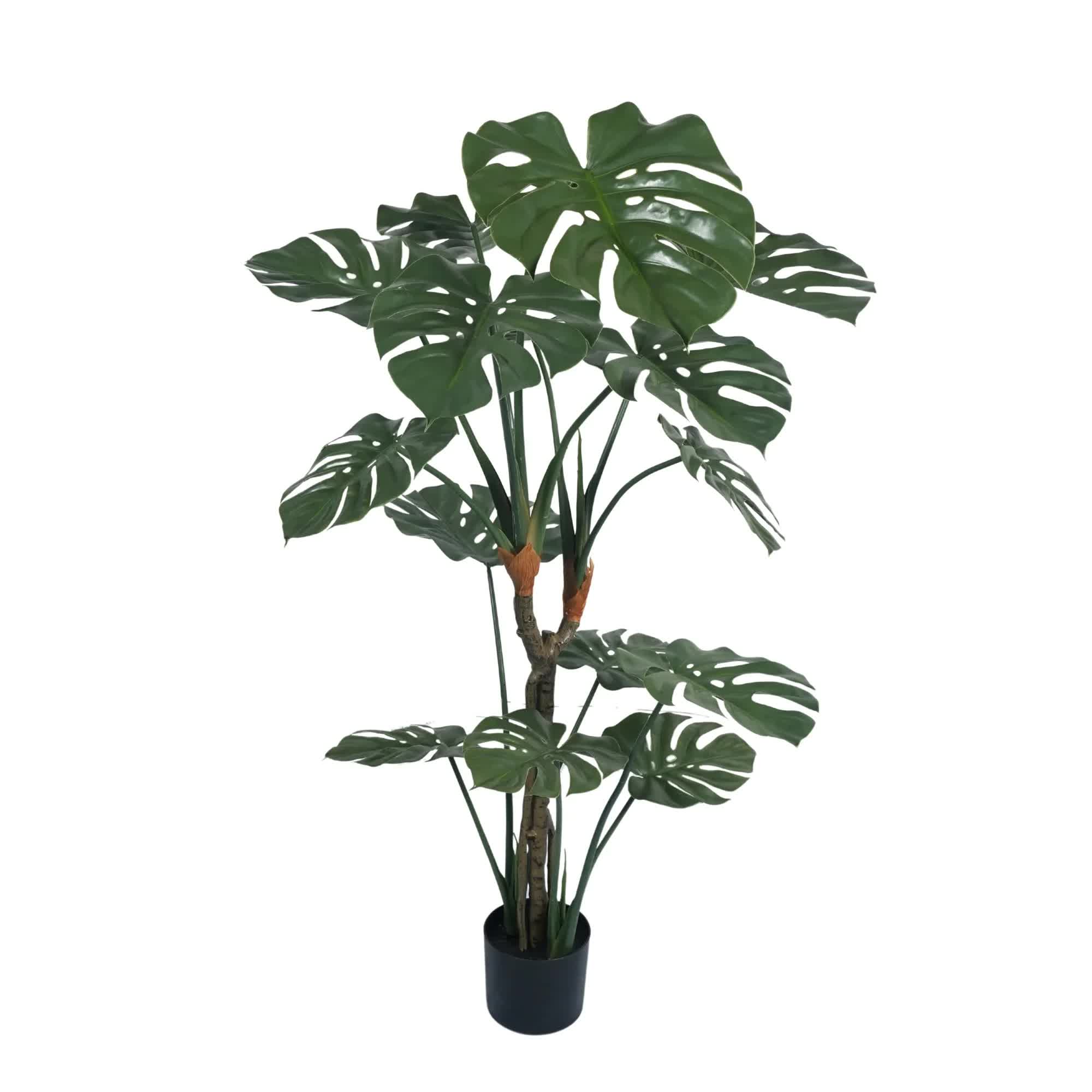 Premium Potted Monstera Split Leaf 150cm UV Resistant V637-DP326593