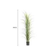 Premium Potted Artificial Long Grass (Yucca Grass / Reed Grass) 180cm UV Resistant V637-DP389521
