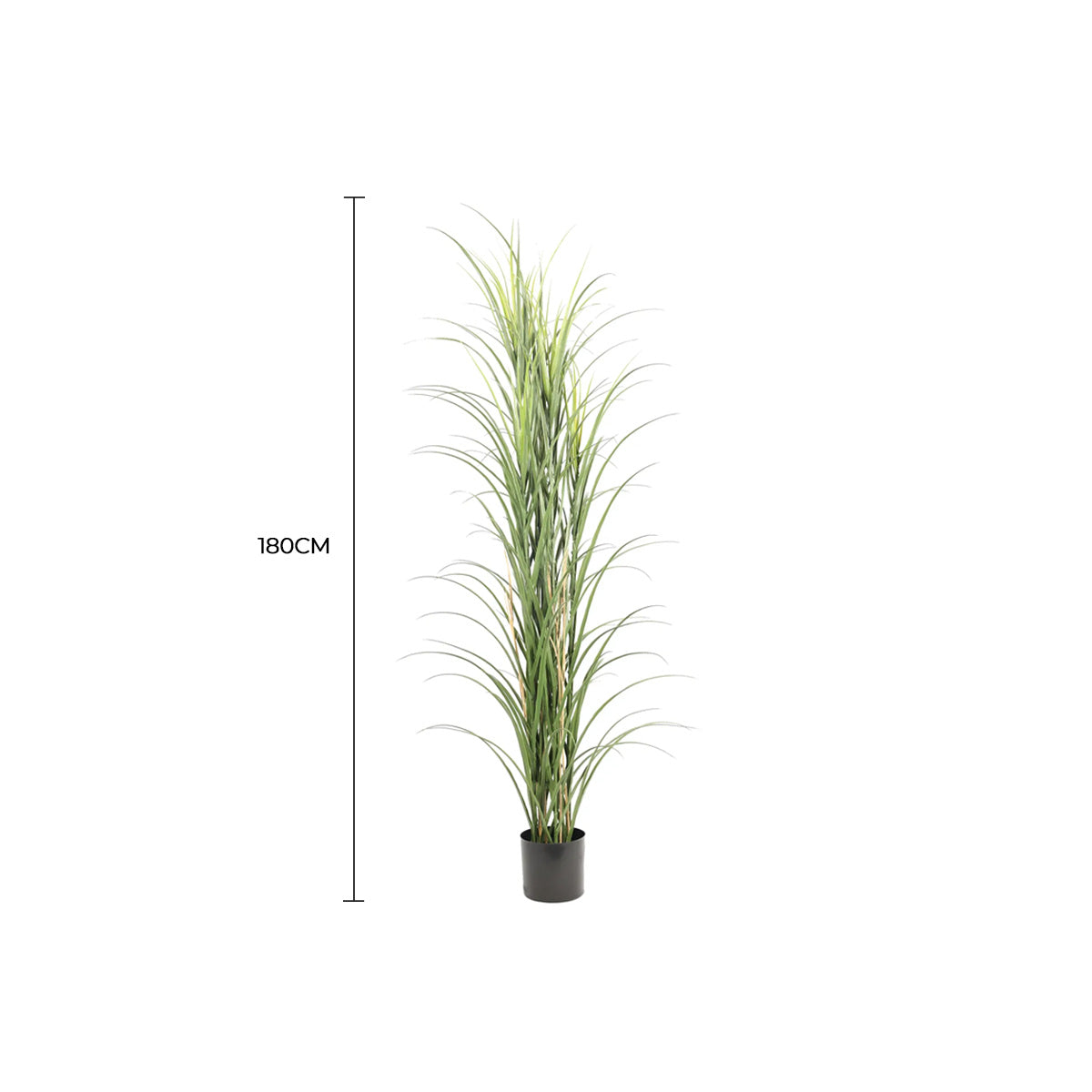 Premium Potted Artificial Long Grass (Yucca Grass / Reed Grass) 180cm UV Resistant V637-DP389521