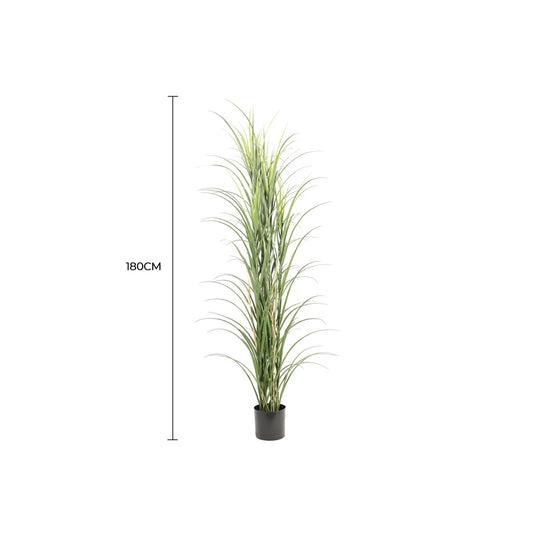 Premium Potted Artificial Long Grass (Yucca Grass / Reed Grass) 180cm UV Resistant V637-DP389521