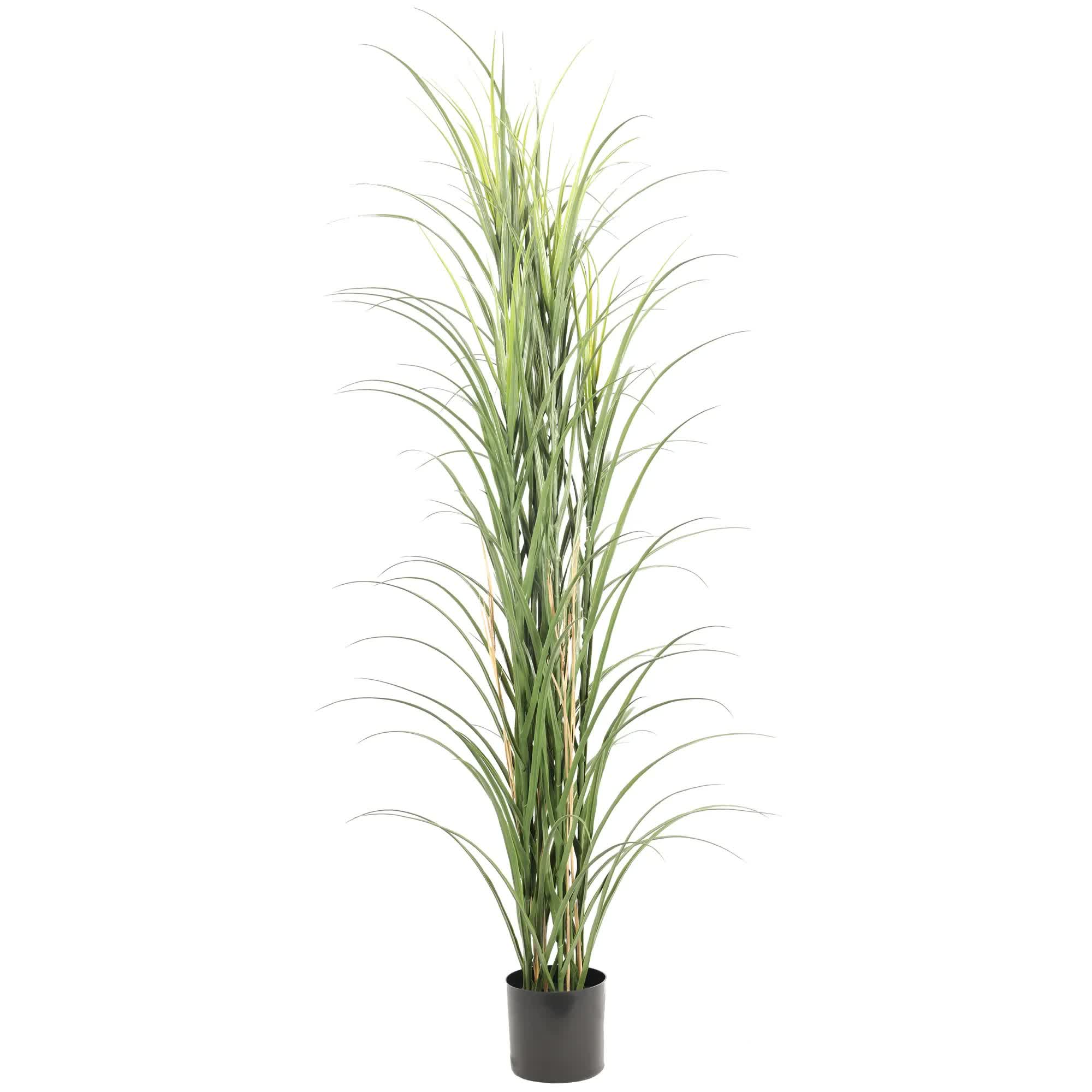 Premium Potted Artificial Long Grass (Yucca Grass / Reed Grass) 180cm UV Resistant V637-DP389521