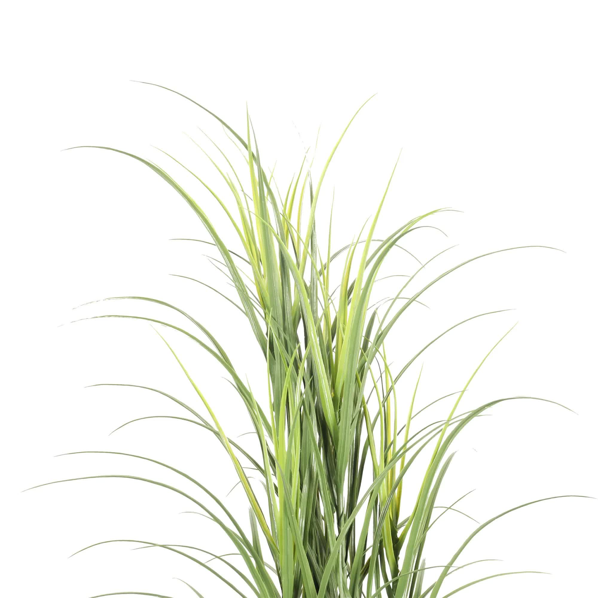 Premium Potted Artificial Long Grass (Yucca Grass / Reed Grass) 180cm UV Resistant V637-DP389521