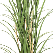 Premium Potted Artificial Long Grass (Yucca Grass / Reed Grass) 180cm UV Resistant V637-DP389521