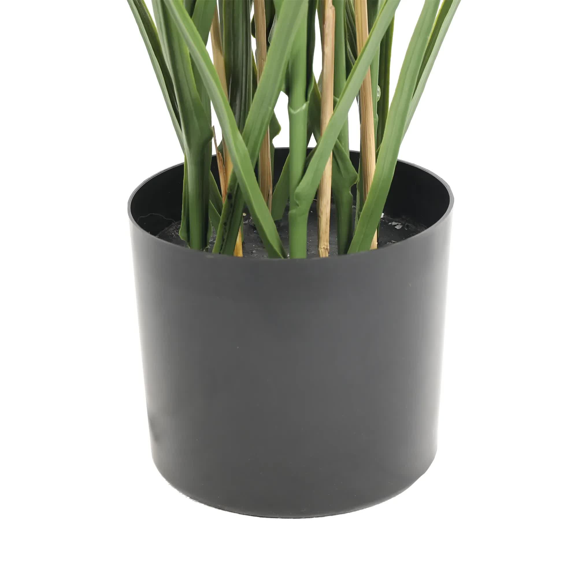 Premium Potted Artificial Long Grass (Yucca Grass / Reed Grass) 180cm UV Resistant V637-DP389521