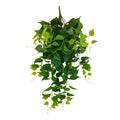 Premium Dense Trailing Artificial Philodendron Garland Bush 90cm V637-DP452613