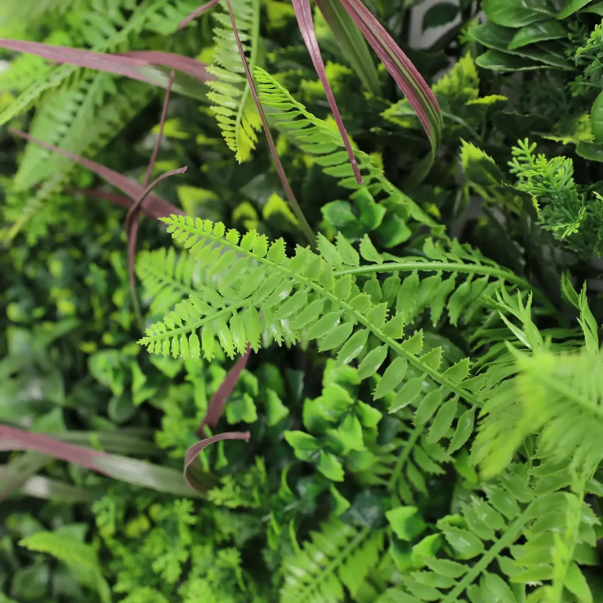 Verdant Fern Artificial Vertical Garden / Green Wall Panel 1m x 1m UV Resistant V637-DP554891