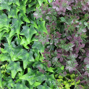 Lush Botanical Mosaic Artificial Vertical Garden / Green Wall Panel 1m x 1m UV Resistant V637-DP554892
