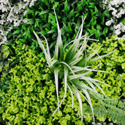 Forest Floor Artificial Vertical Garden / Green Wall Panel 1m x 1m UV Resistant V637-DP554893