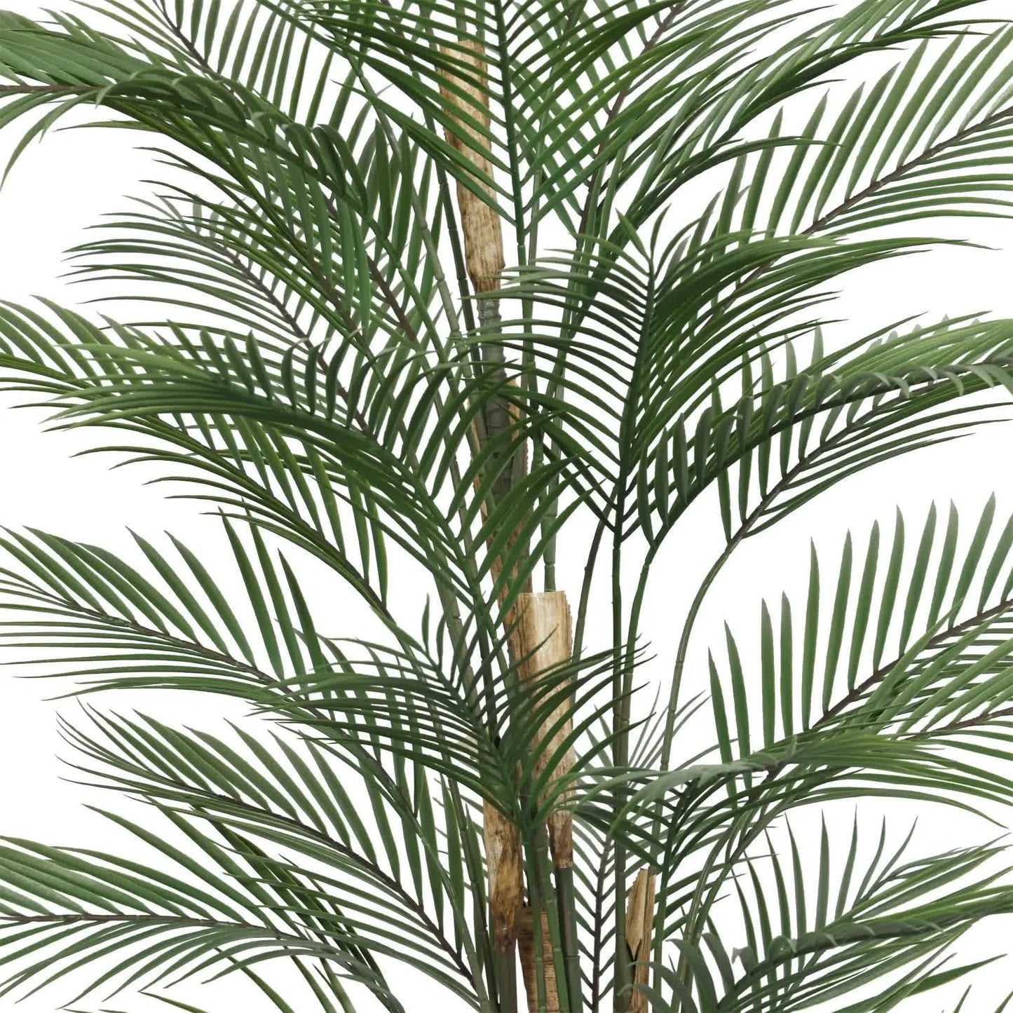 Premium Artificial Areca Palm Tree 210cm UV Resistant (New Arrival) V637-DP5562312