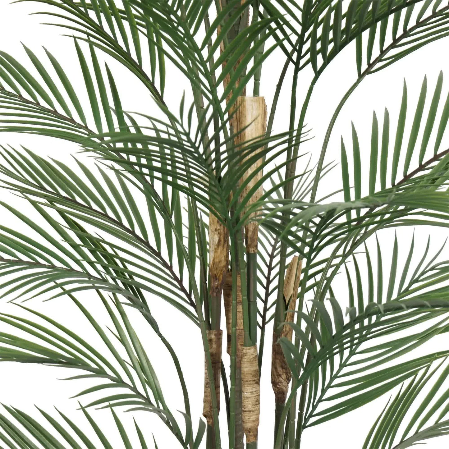 Premium Artificial Areca Palm Tree 210cm UV Resistant (New Arrival) V637-DP5562312