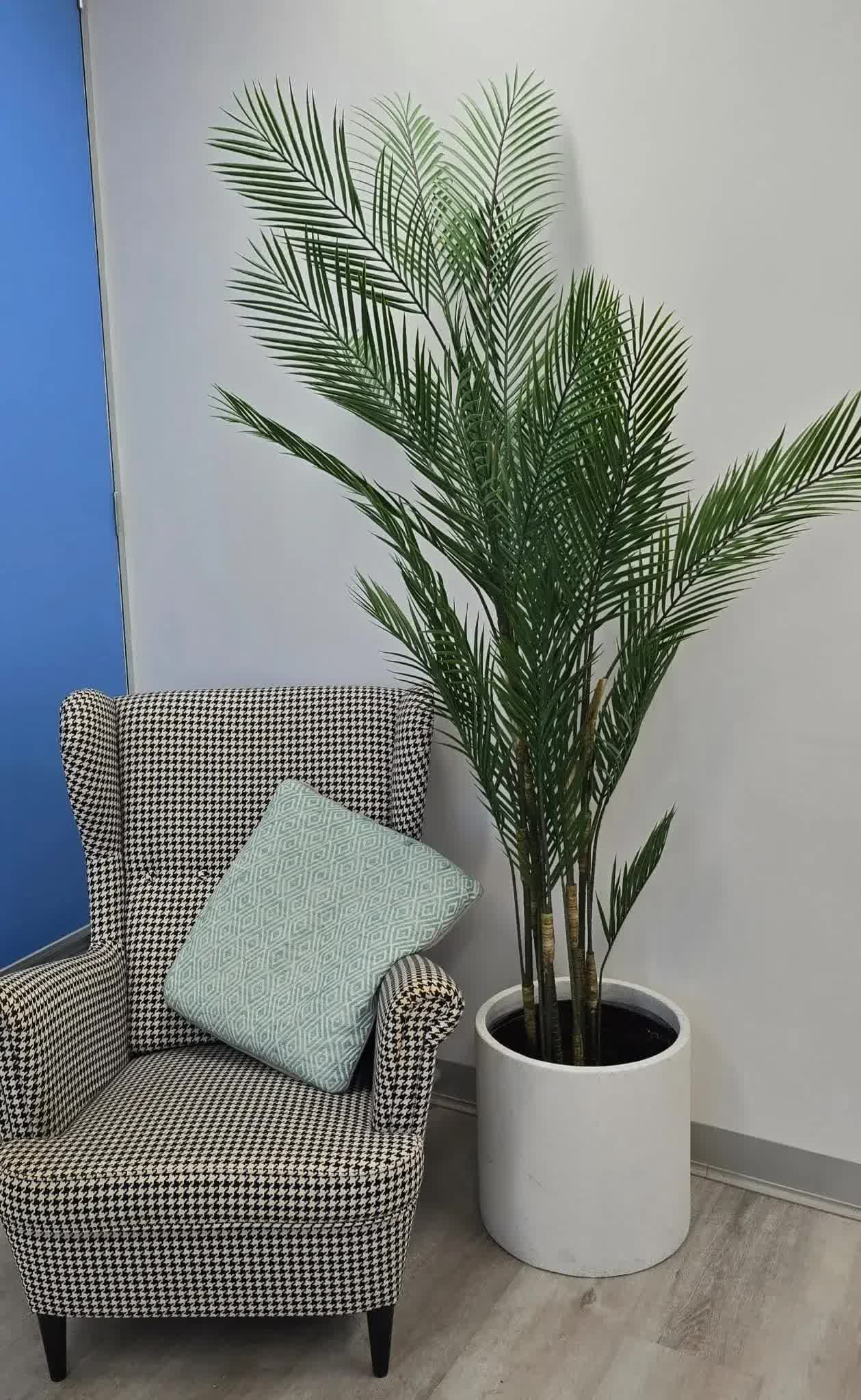 Premium Artificial Areca Palm Tree 210cm UV Resistant (New Arrival) V637-DP5562312