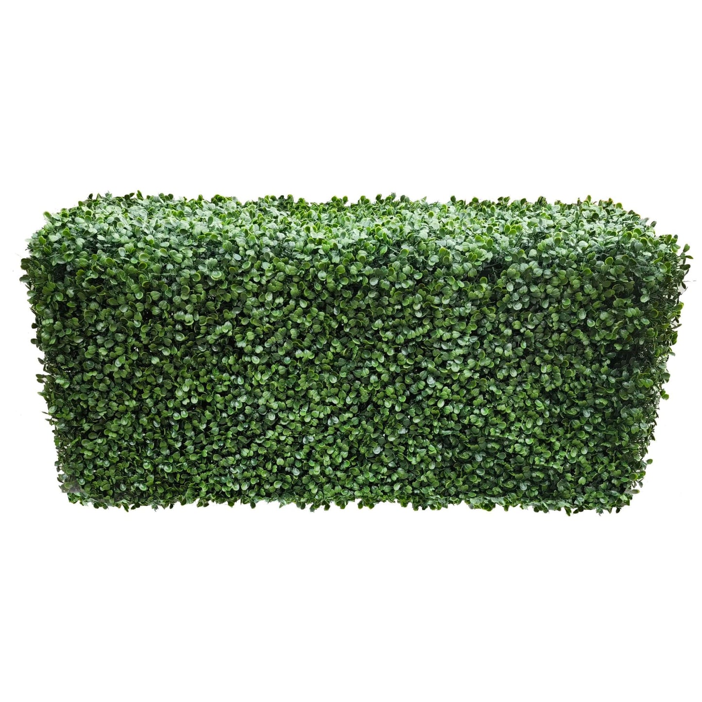 Portable Boxwood Hedge UV Resistant 100cm Long x 50cm High V637-DP56389