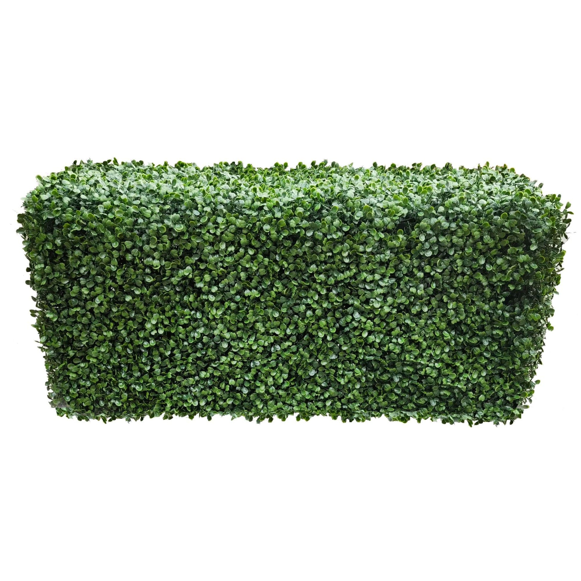Portable Boxwood Hedge UV Resistant 100cm Long x 50cm High V637-DP56389