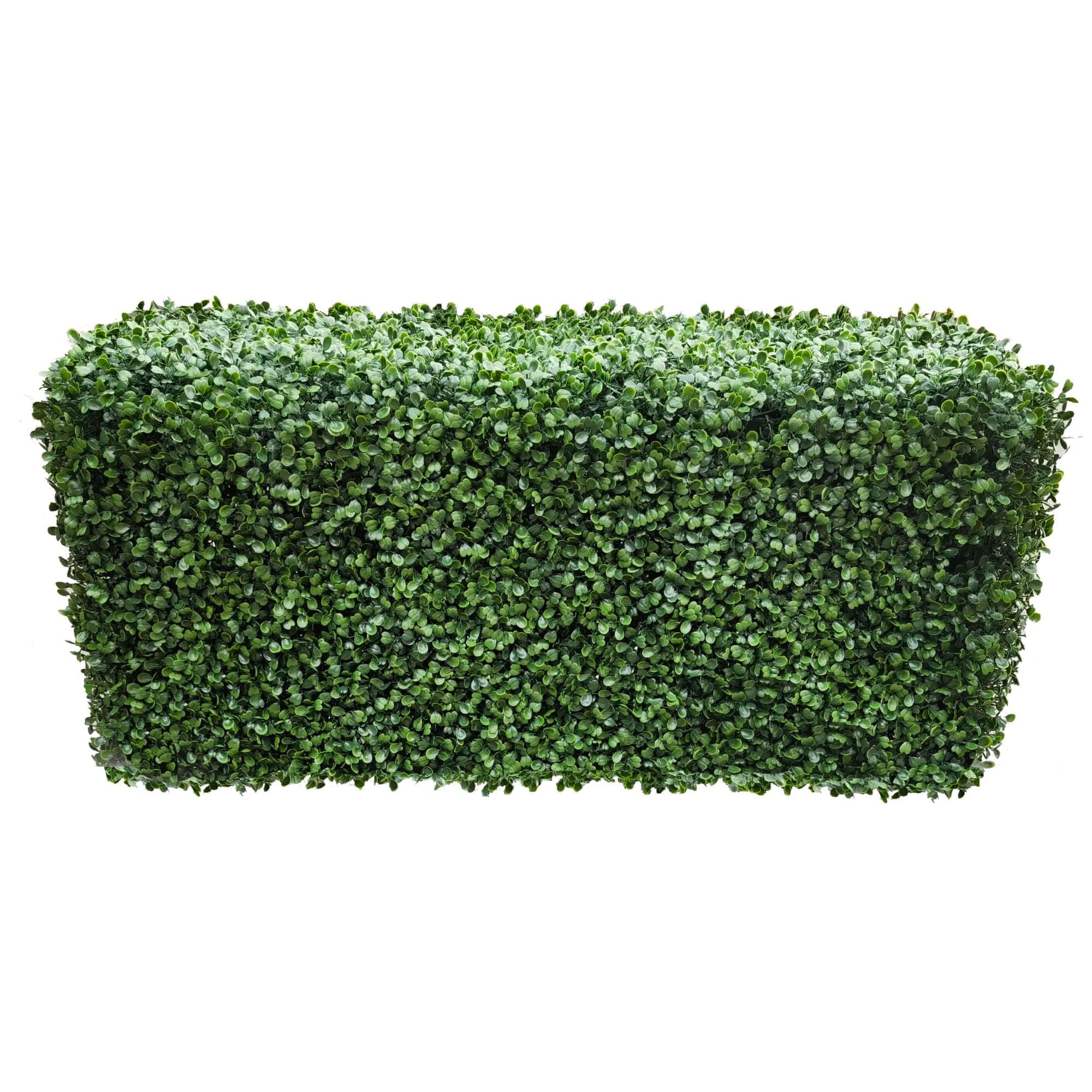 Portable Boxwood Hedge UV Resistant 100cm Long x 50cm High V637-DP56389