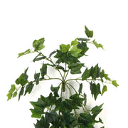 Artificial Nearly Natural Artificial Hanging Ivy Bush 90cm V637-DP751890112