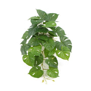 Decorative Artificial Monstera Adansonii Plant in Ceramic Bowl 30cm V637-DP751890127