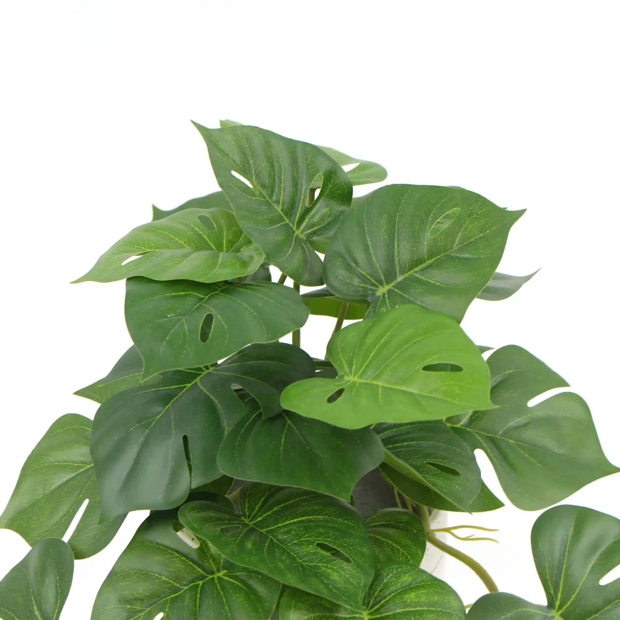 Decorative Artificial Monstera Adansonii Plant in Ceramic Bowl 30cm V637-DP751890127