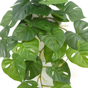 Decorative Artificial Monstera Adansonii Plant in Ceramic Bowl 30cm V637-DP751890127