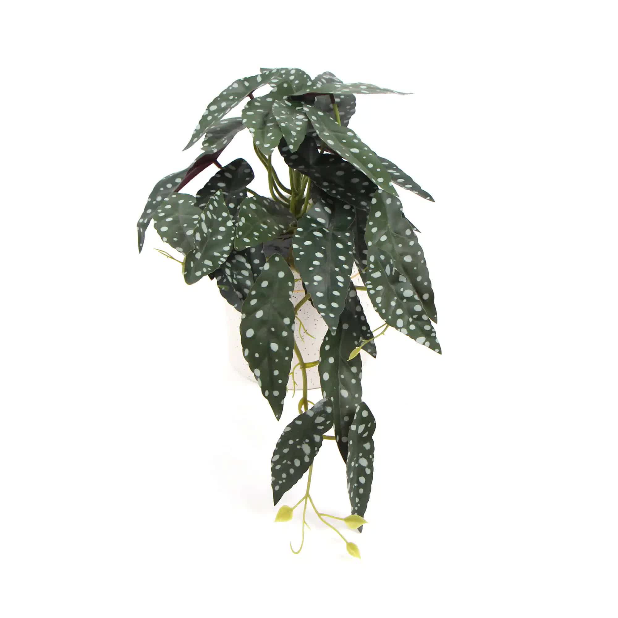 Artificial Begonia Maculata Plant In Decorative Bowl 30cm V637-DP751890128
