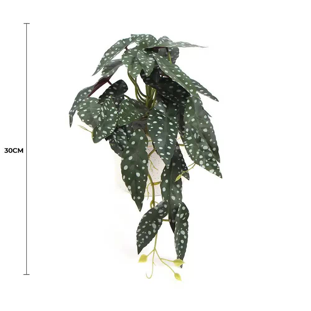Artificial Begonia Maculata Plant In Decorative Bowl 30cm V637-DP751890128