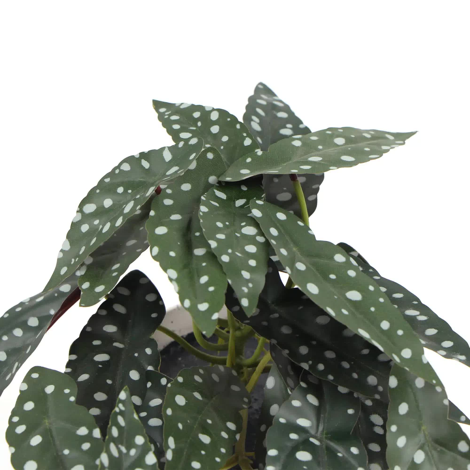 Artificial Begonia Maculata Plant In Decorative Bowl 30cm V637-DP751890128