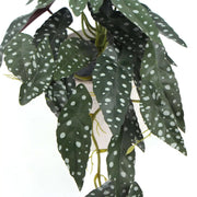 Artificial Begonia Maculata Plant In Decorative Bowl 30cm V637-DP751890128