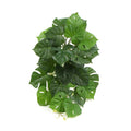 Artificial Monstera Adansonii Plant 50cm V637-DP7518918