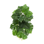 Artificial Monstera Adansonii Plant 50cm V637-DP7518918
