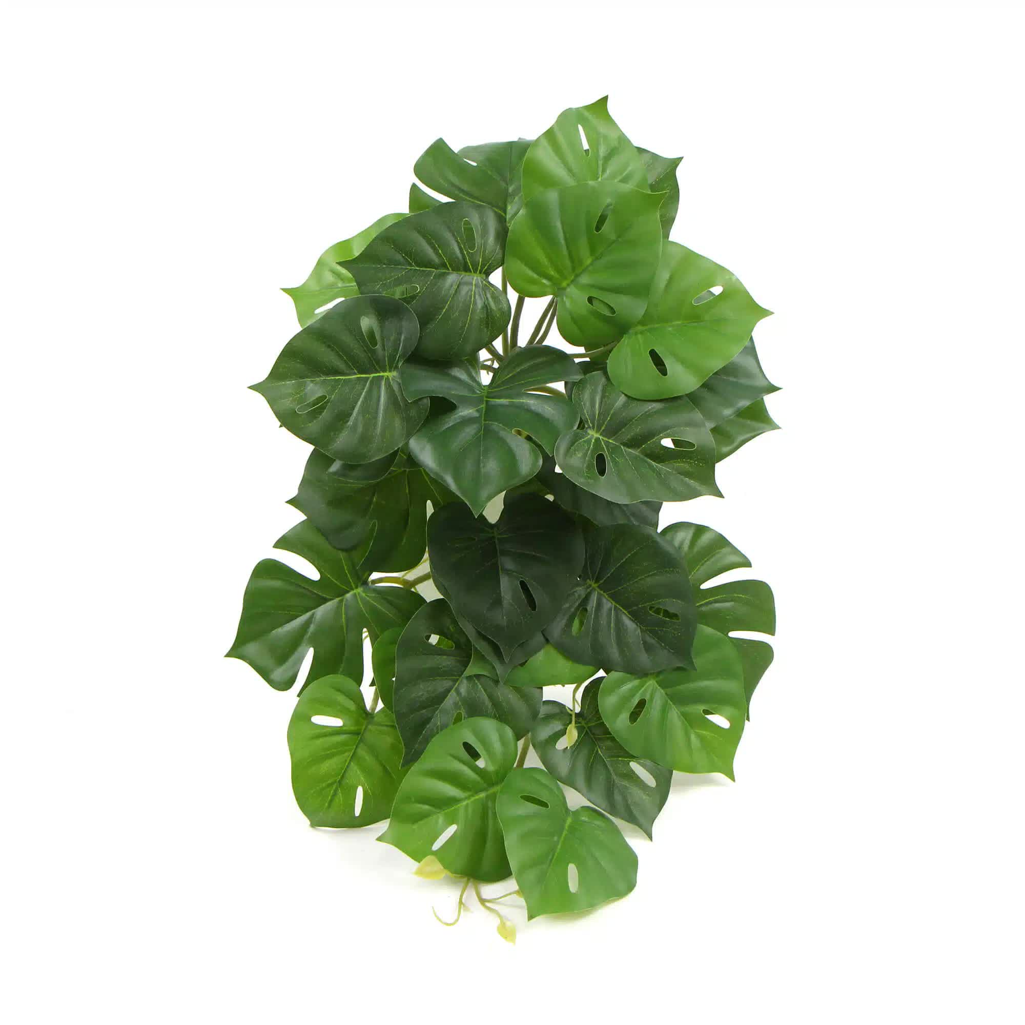 Artificial Monstera Adansonii Plant 50cm V637-DP7518918