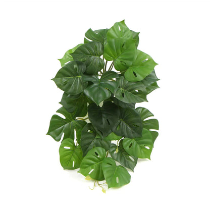 Artificial Monstera Adansonii Plant 50cm V637-DP7518918