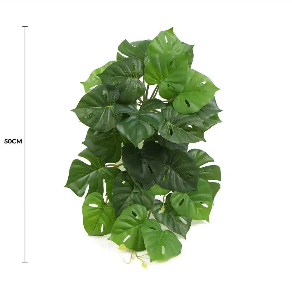Artificial Monstera Adansonii Plant 50cm V637-DP7518918