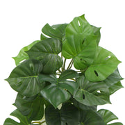 Artificial Monstera Adansonii Plant 50cm V637-DP7518918
