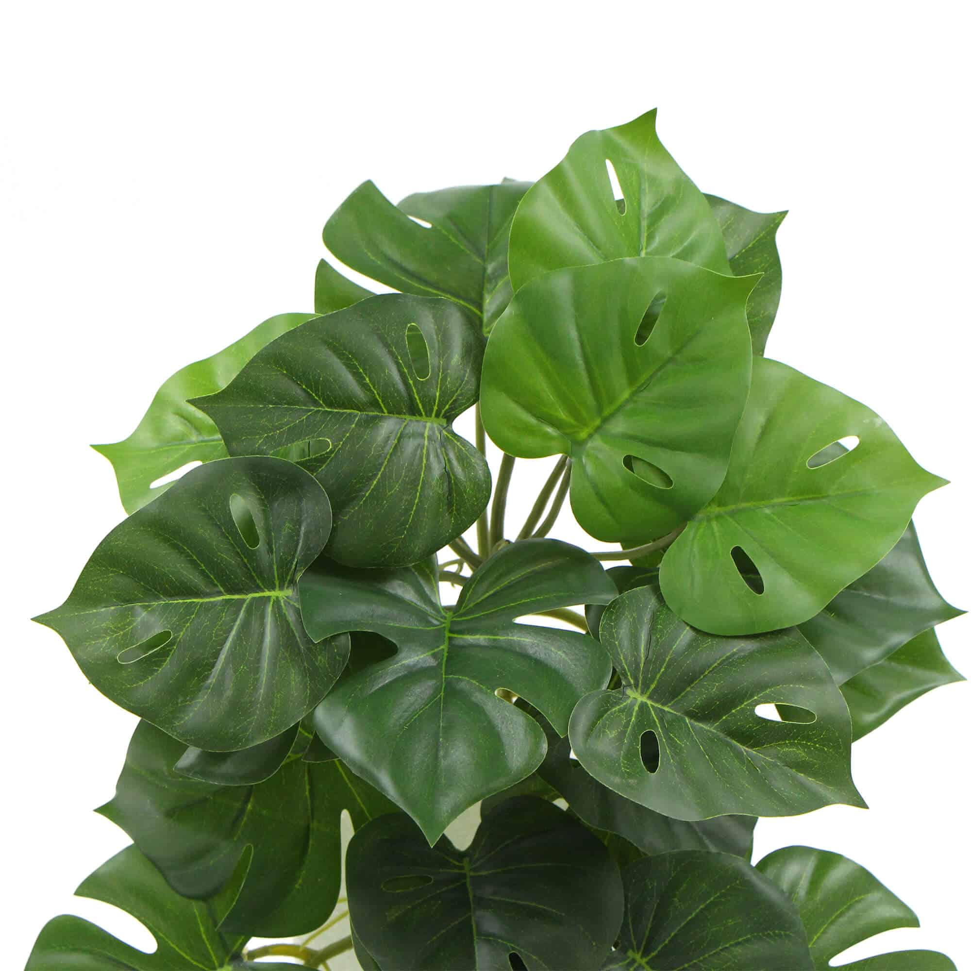 Artificial Monstera Adansonii Plant 50cm V637-DP7518918