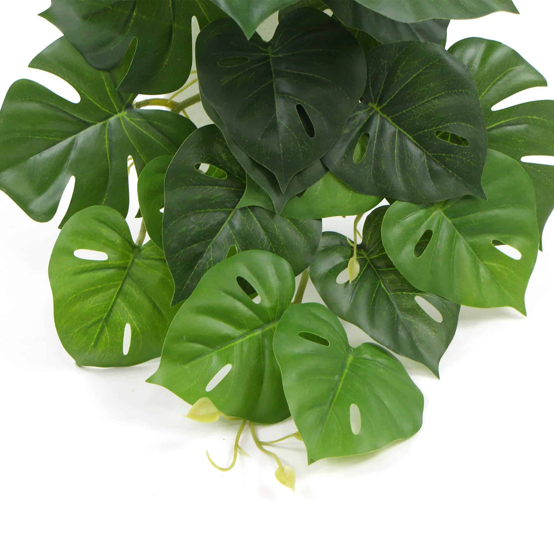 Artificial Monstera Adansonii Plant 50cm V637-DP7518918
