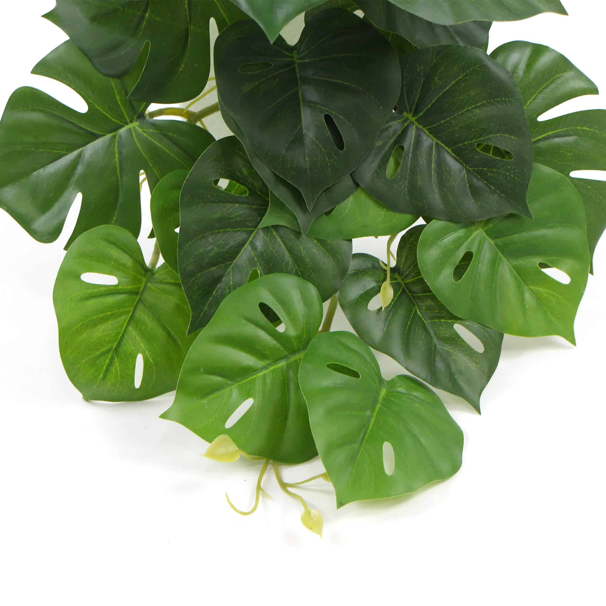 Artificial Monstera Adansonii Plant 50cm V637-DP7518918