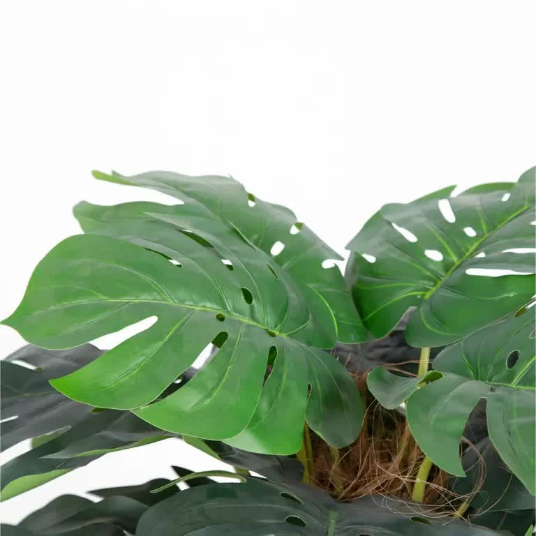 Premium Artificial Monstera Deliciosa Tree 100cm V637-DP75262